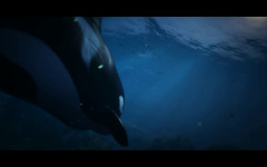trailer 6 killer whale lurks