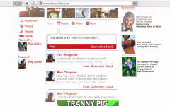 website lifeinvader06